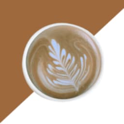 Mocha