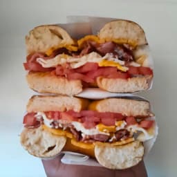 B|CLLT Bagel - Pastrami